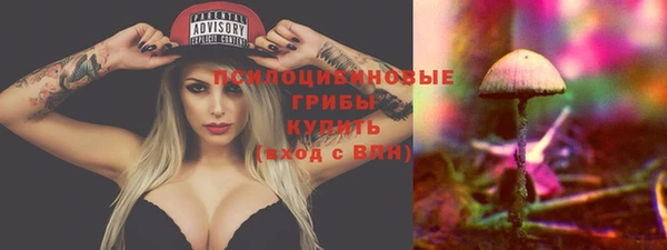 ГАЛЛЮЦИНОГЕННЫЕ ГРИБЫ Елизово